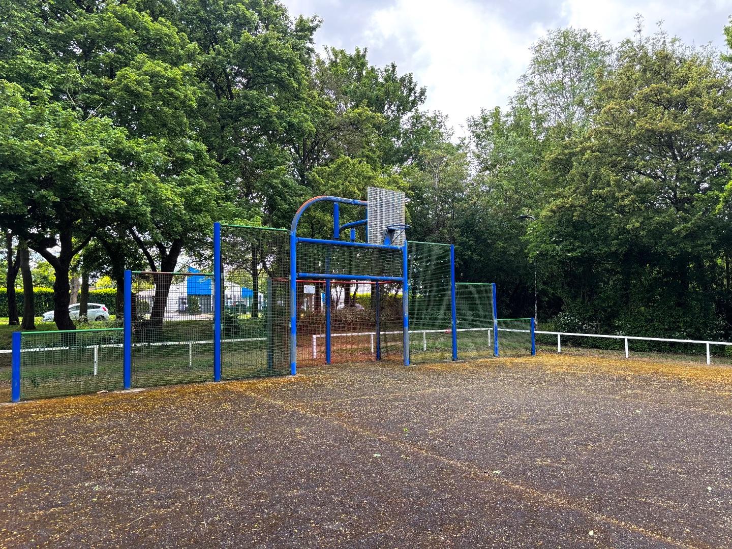 Coffee hall basketball court